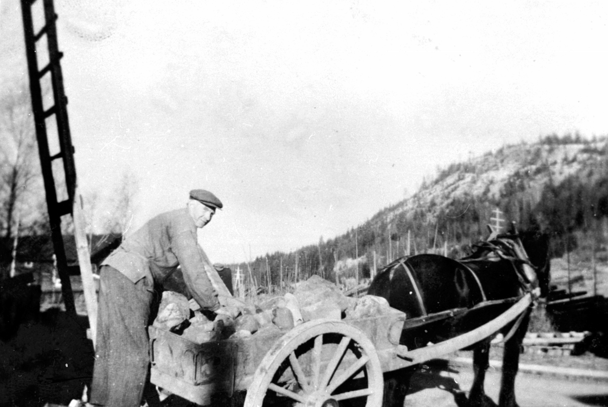 Gustav Helstad kjør stein med hest og stuttkjerre på Bjørge søndre, Veldre, Ringsaker.