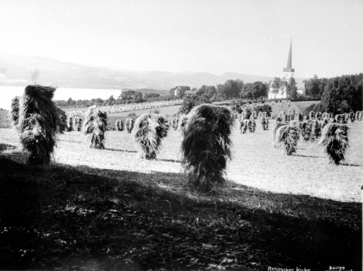 Utsikt mot gården Ringsaker kirke. Kornsnes på staur i forgrunnen.