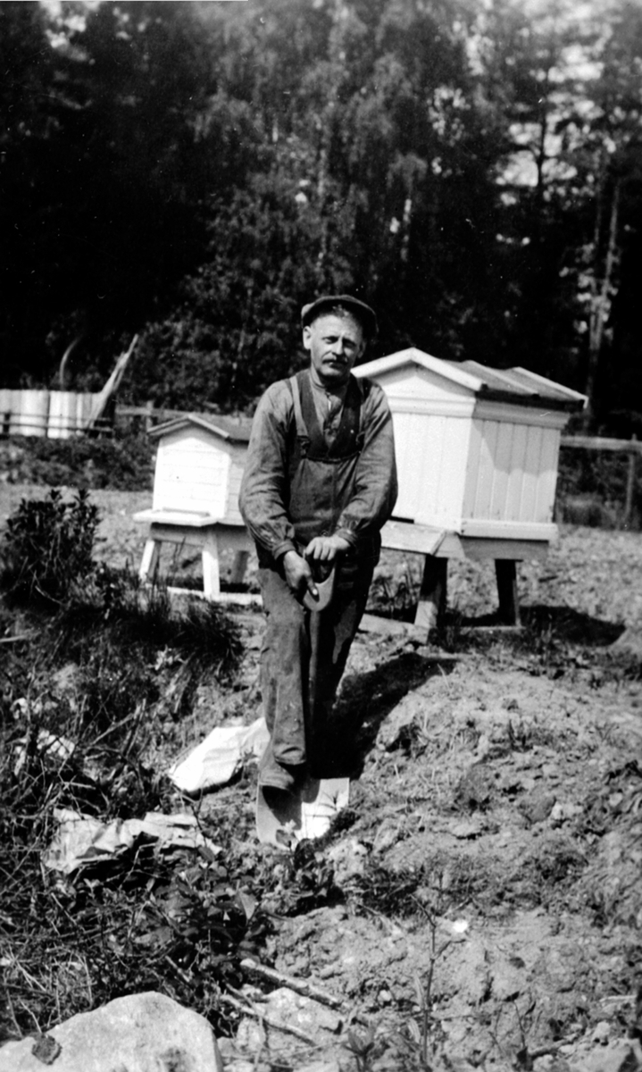 Ringsaker, Moelv, Johan Hermanson, rørlegger, hagebruker, birøkter og filosof. Han var født i Småland og begynte som rørlegger 16 år gammel. Kom til Moelv i 1920. Han har stått for mange store varmeanlegg bla på Vea hagebruksskole, Ringstrand og Høsbjør. Hermanson var en kvikk og original personlighet og litt av en livskunstner". Kilde Moelvboka
