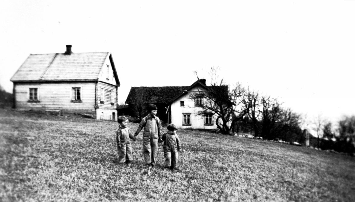 3 barn utenfor husa i Bakkom, Mengshoel, Nes, Hedmark. Dette er vel trolig Sigrid Sørbo f.1927 med tvillingene Ingrid Synnøve og Anna Olaug født 1931.