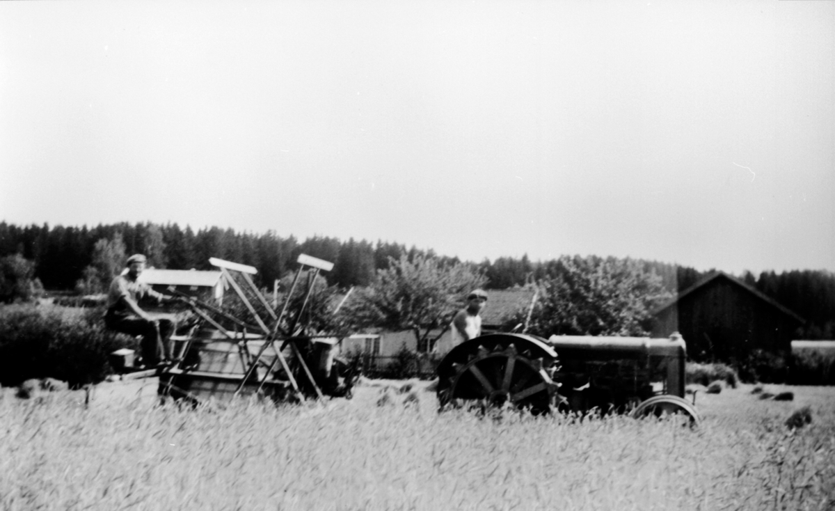 Skuronn på Øvre Sund, Helgøya. Nils Sund f.1913 kjører en Fordson jerntraktor med selvbinder. Gunnar Sund f.1911 sitter på selvbinderen.