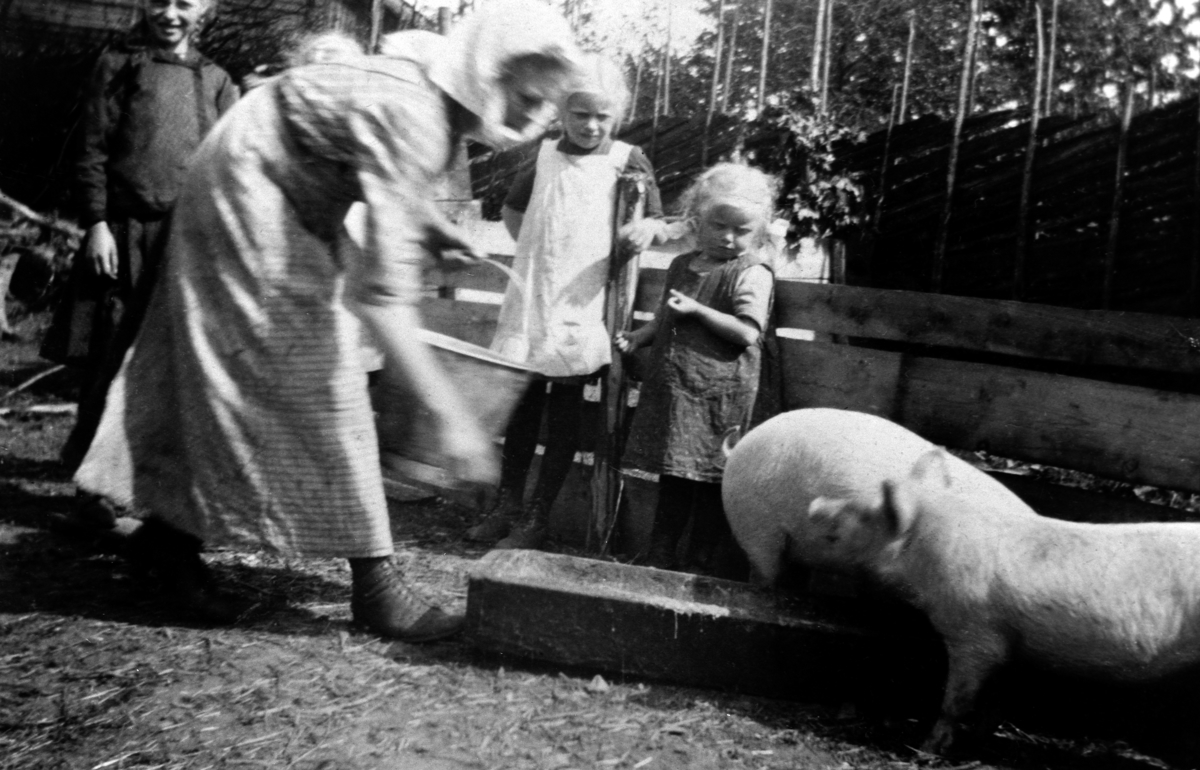 Foring av smågris på Nar-Holo, Ringsaker. Budeie Netta Hansen, Lina Fossum, Gudrun Fossum. Bak til venstre Dorthea Fossum, Karen Fossum.