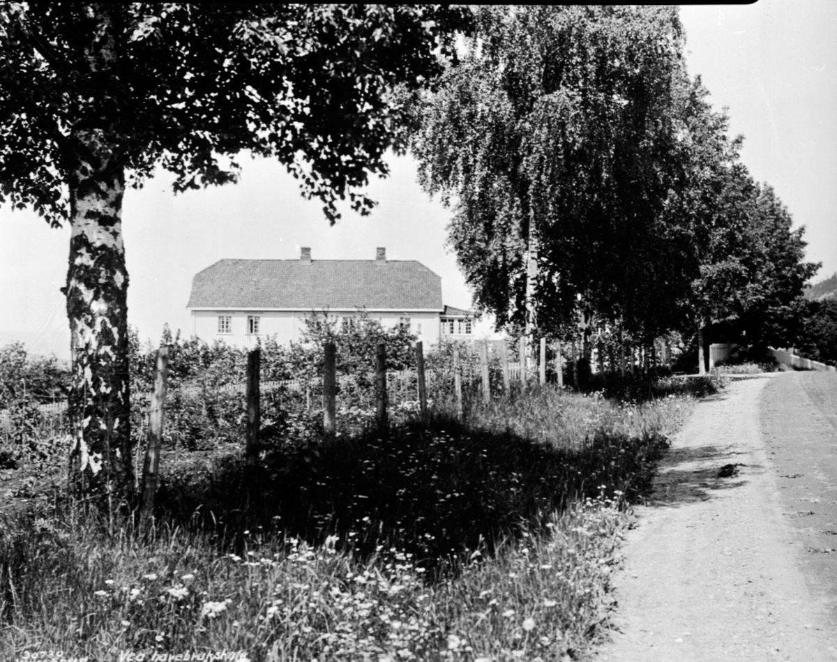 Eksteriør, Vea Hagebruksskole, Moelv, riksveg 50.