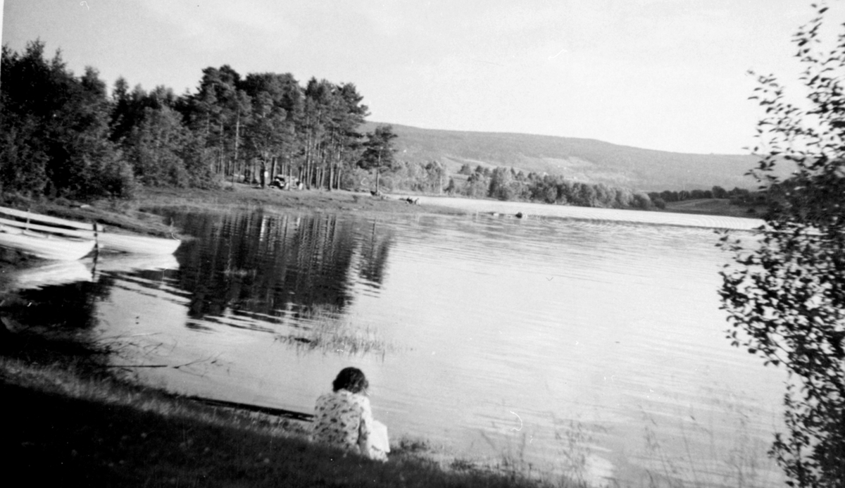 Dame ser ut over Mjøsa ved Korgstuevika, Moelv, Ringsaker.