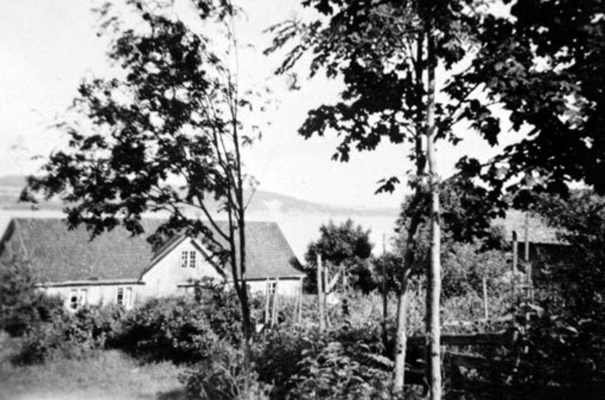 Eksteriør, gardsbruk, Snekkersveen, Nes, Hedmark.