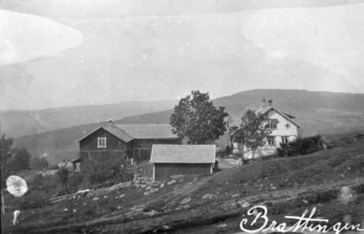 Eksteriør, gardsbruk, Brattengen gård, Furnes, Ringsaker. Hovedbygning, låve, bryggerhus.