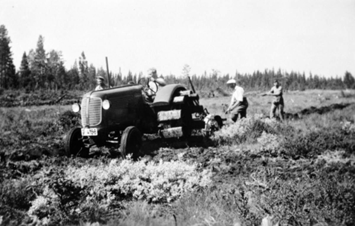 Nyrydding av storbekkfeltet ved Brumunddalsetra. Fire menn arbeider med traktor.