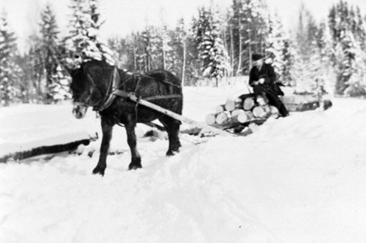 Tømmerkjøring med hest på Engelstad, Furnes, Ringsaker. Vinter.