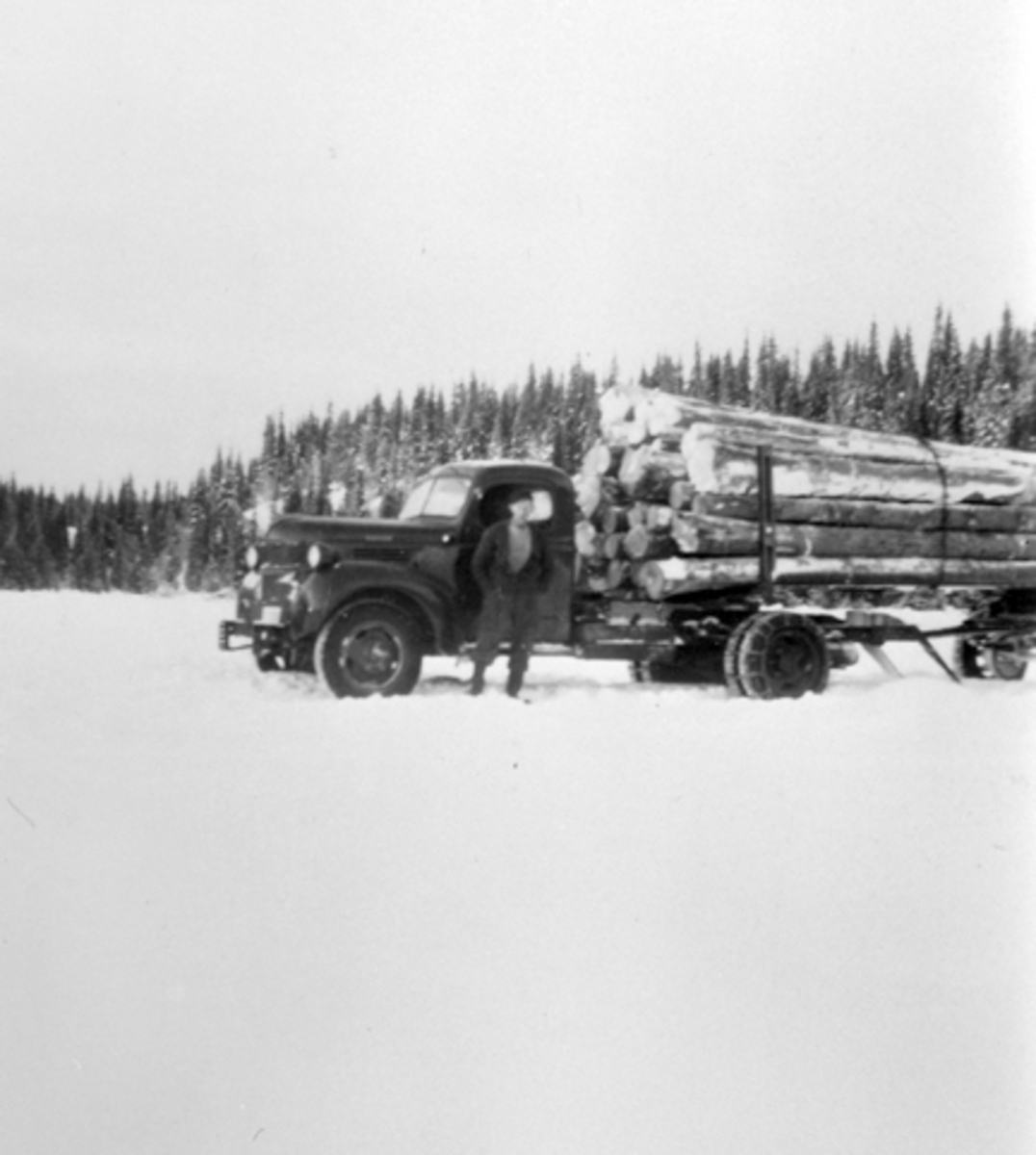 Tømmertransport med lastebil, Bekkedalen, Åsta, Furnes Almenning.