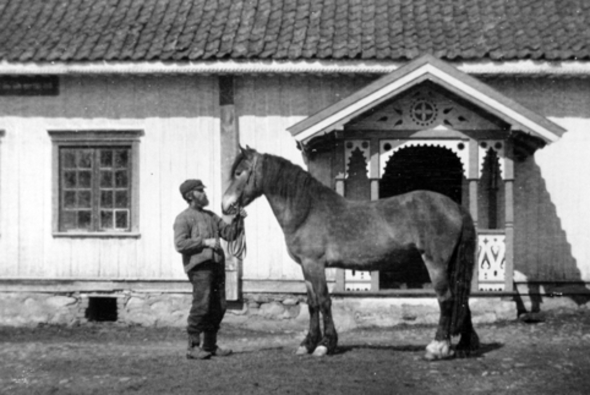 Gamle Ole Stallkar med hest på Mørkved store, Ringsaker i 1917.