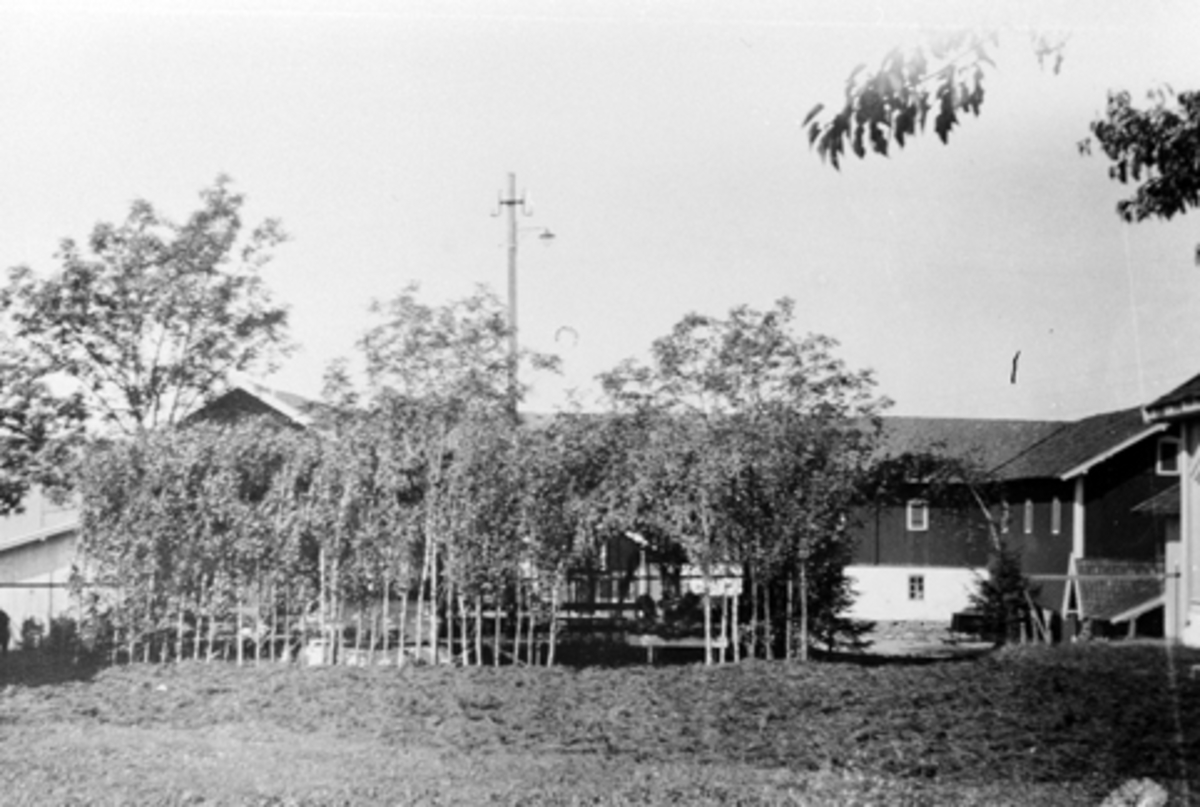 Begravelse etter Per Lier på Mørkved store i 1918. Kisten er plassert i bjørklund på gardstunet.