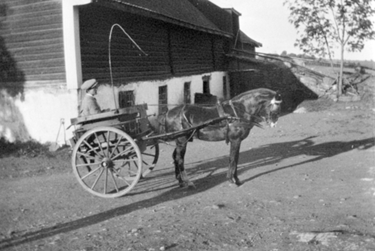 Mann med pisk i karjol på gardstunet på Hoel gård, Nes, Hedmark.