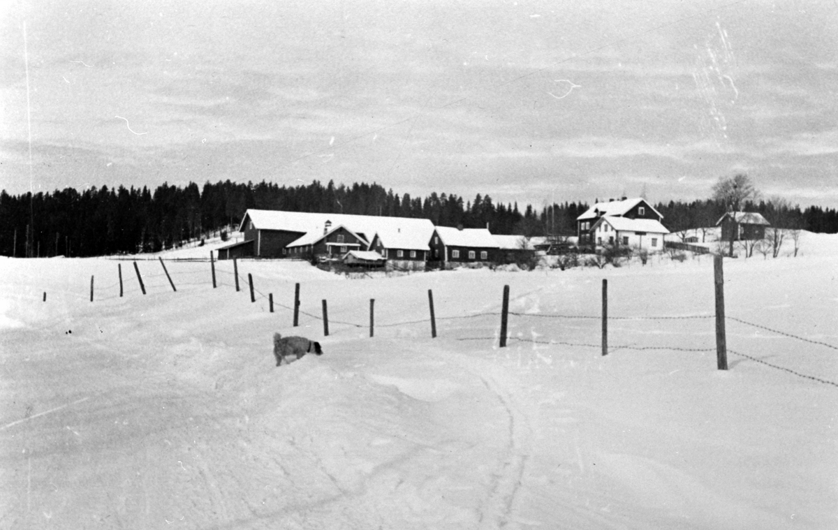 Eksteriør, Alhaug østre, ca. 1960, vinter.