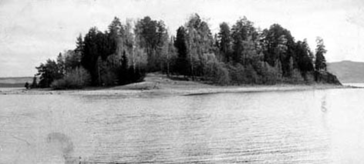 Hovinsholmen i Mjøsa utenfor Hovinsholm gård, Helgøya. Holmen er landfast i deler av året via en sandrygg fra fastlandet. Bilde fra Hamar Stiftstidende.