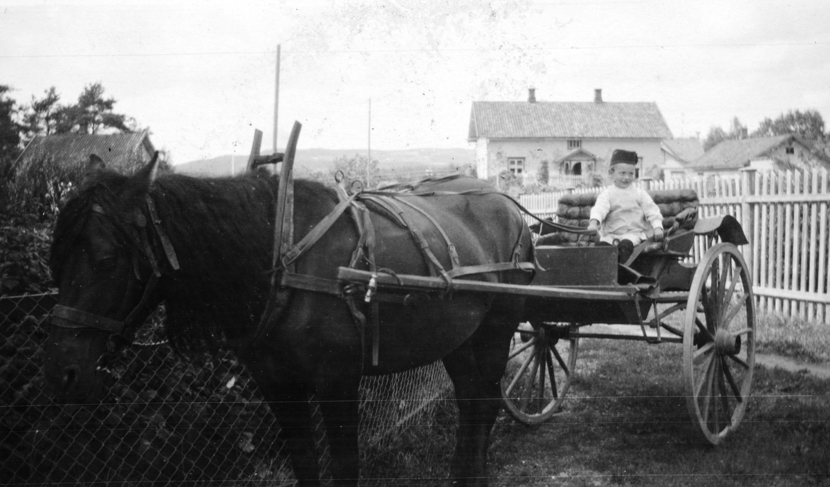 Hest og kjerre, hestekjøretøy, seletøy, Jacob Børke i kjerra. Brumunddal.