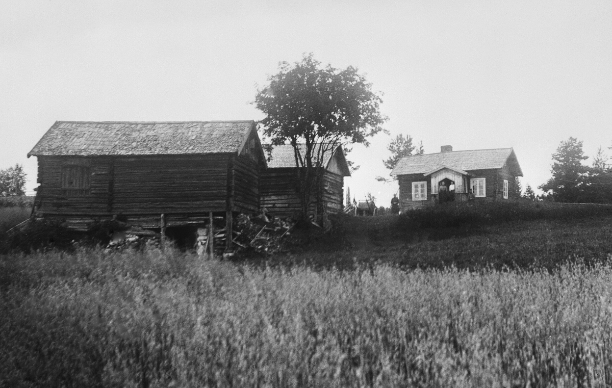 EKSTERIØR: KORSBAKKEN