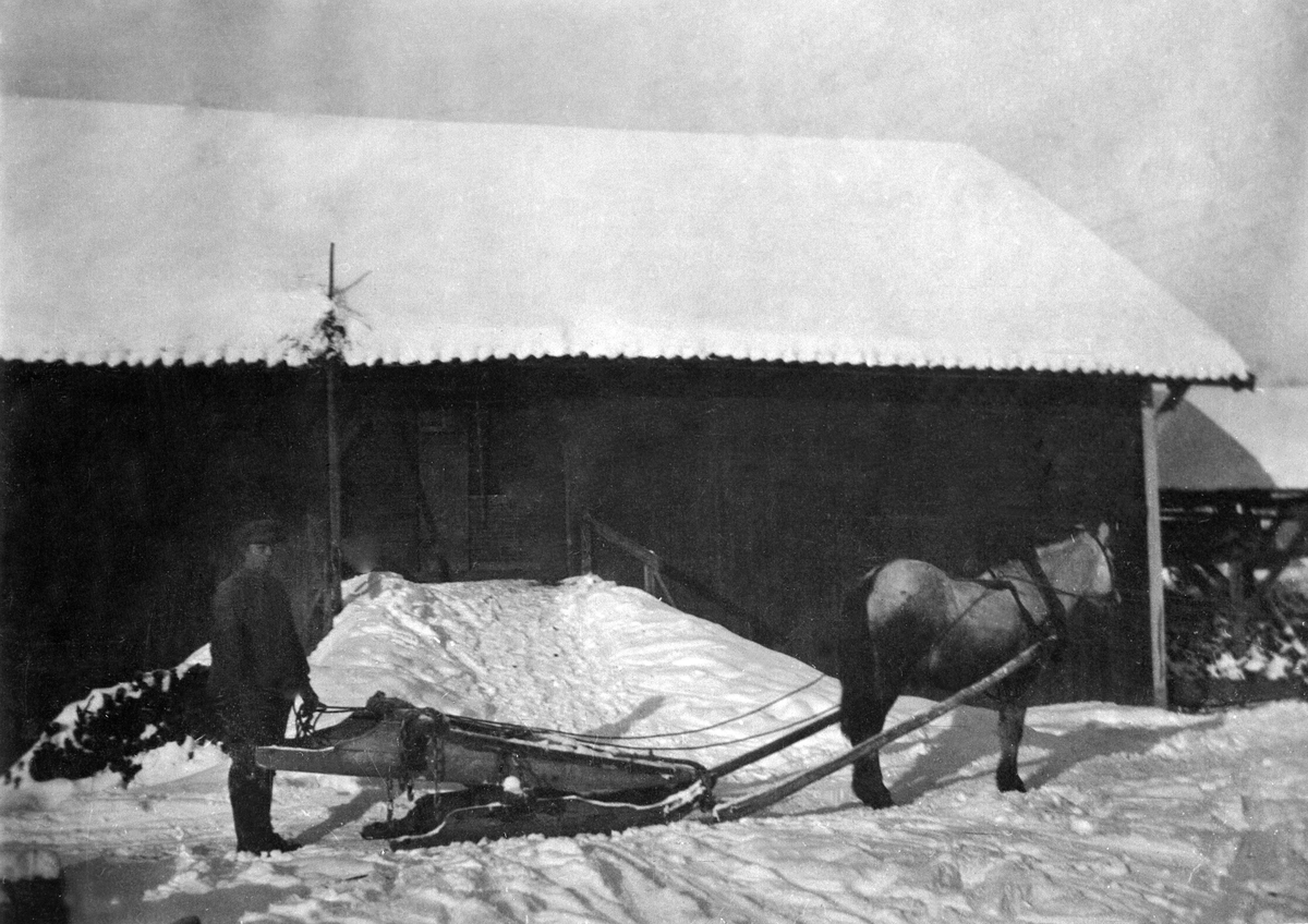 JOHANNES SVEEN, HEST MED TØMMERRUSTNING, BUKK OG GEIT, TRØSKELÅVEN I BAKGRUNNEN, VINTER, RABSTAD