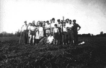 ÅKER GÅRD, UGRASRENSKING, STOR GRUPPE, UNDER KRIGEN. 