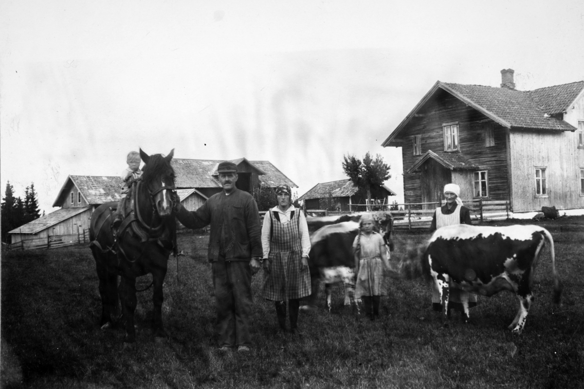 114/7. Nygard ca. 1933. F. v. Eivind Knutsen, Emil Løberg, Kirsten, Kristine og Karoline. Hesten heter Stjerna (Sjærna)