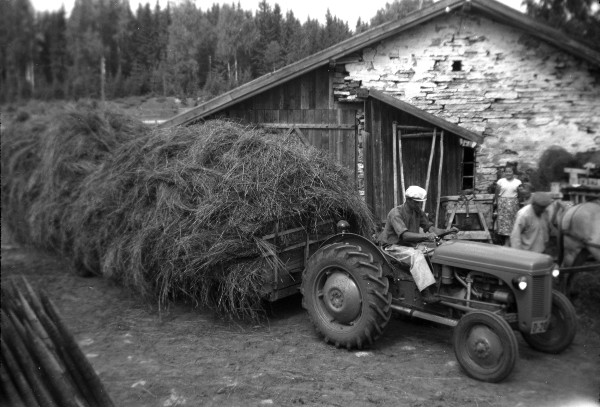Søndre Tomter (Ner-Tomter) ca 1952. Kåre Tomter kjører høy med to sammenkoblede høyvogner med Ferguson TEA traktor. Til høyre står Jacob Tomter. Høyvognene ble koblet fra traktoren og en og en kjørt opp låvebrua med hest. I midten på bildet står naboen Lillian Tømte. Bak sees gammelfjøset som ble revet i 1954. Slåttonn. 