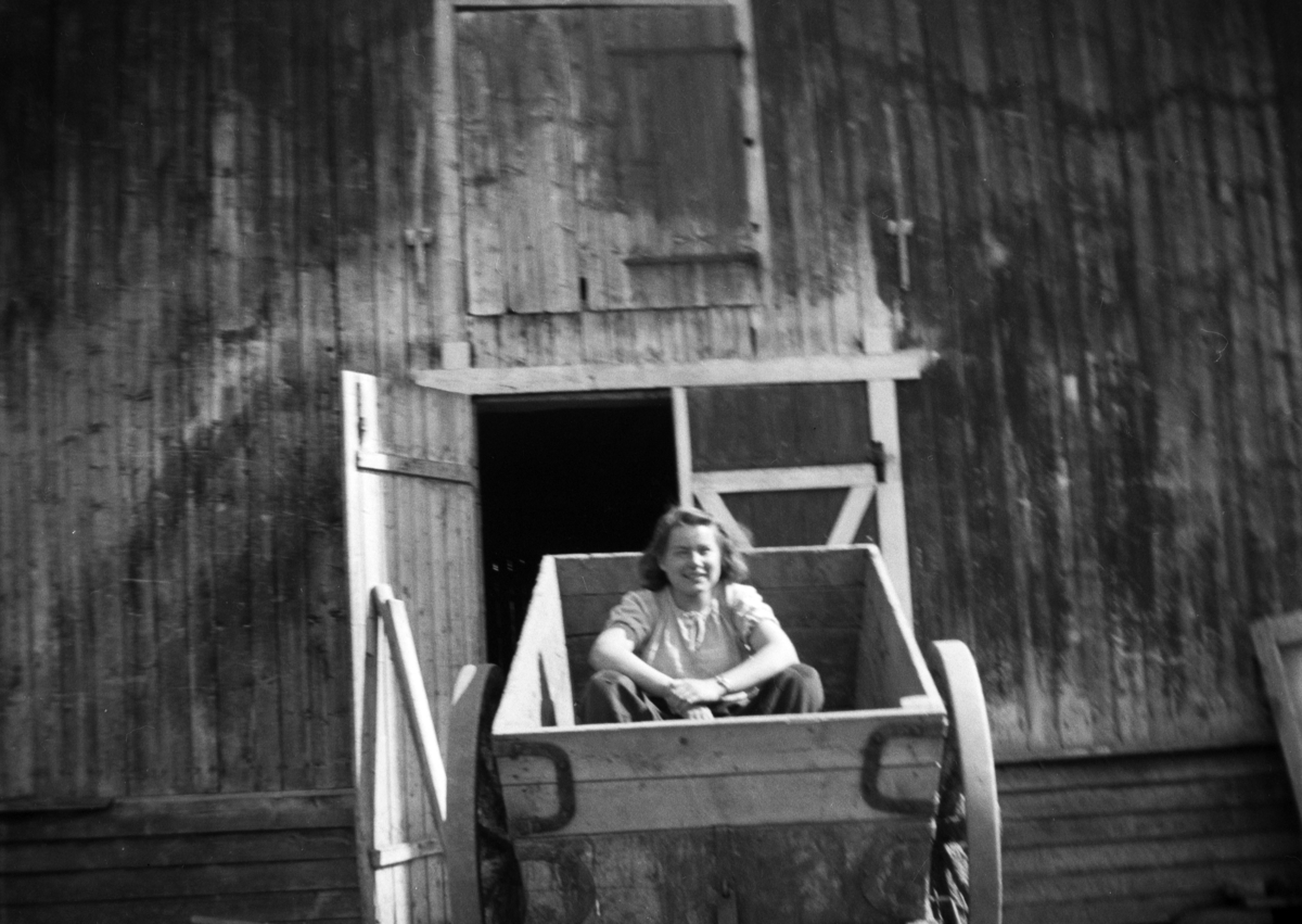 Marta Tomter i stuttkjerra utenfor låven på Søndre Tomter (Ner-Tomter) ca 1952. 