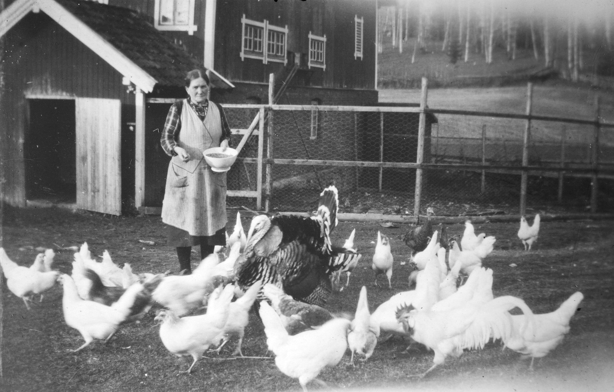 Opsahl Store gard,, Vang H. Martha Opsahl mater høner, kalkun. Hønsegård, husdyrhold. 1930. 