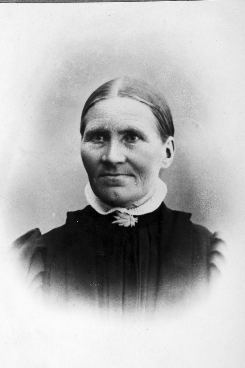 Marie Larsen, Vang H. 1842-1936