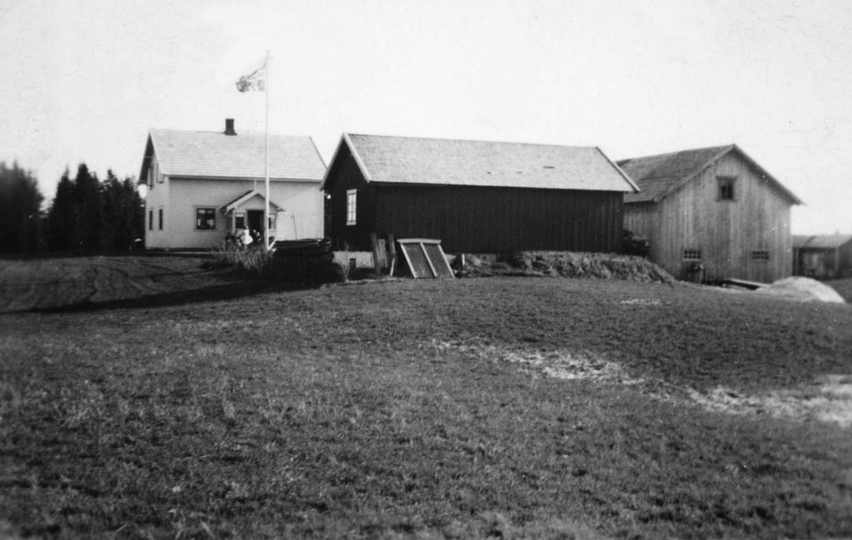 Greftenenga på Vang i Hamar, 1950-tallet. (89/3). 