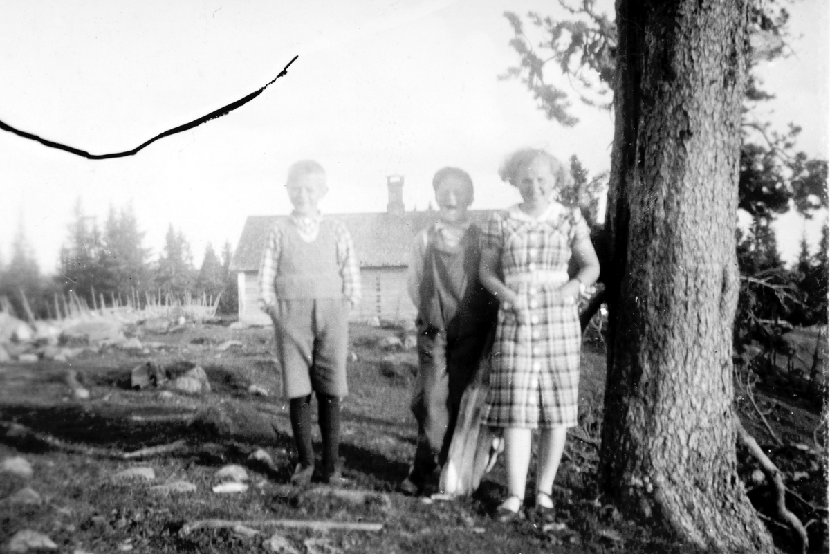 Søsknene Ester, Ivar og Sigvald Narmo fra Vestre Blystad 73/1 Vang H. på sætra Kjeltåsen. 