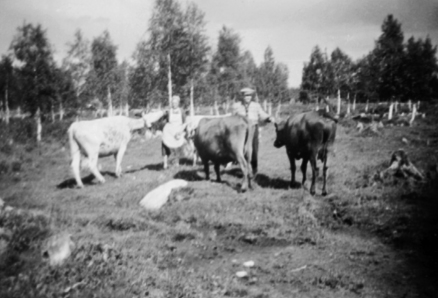 BUREISNINGSBRUK, SANDÅS, JONNA OG EMIL ØSTLIE M/BUSKAPEN, KUER, SANDÅS ØSTRE, LØTEN, 