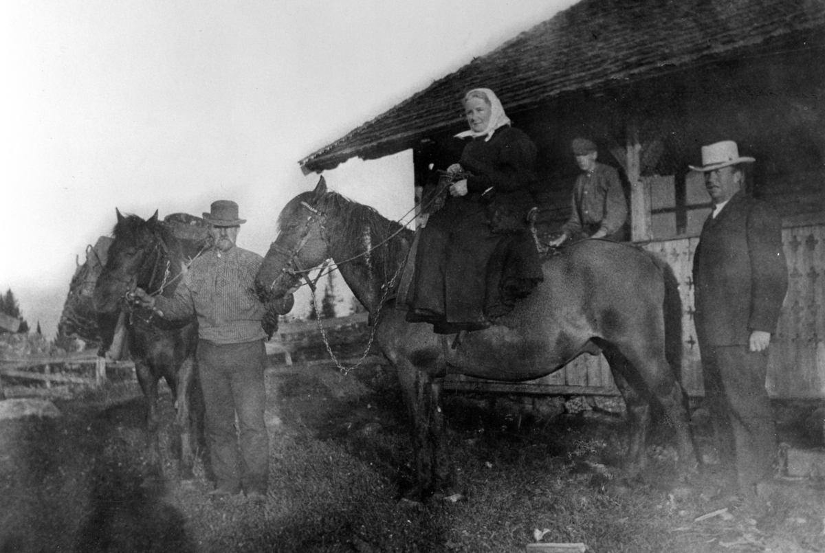 EKSTERIØR: NORDSETRA, HVERVEN SETER, ÅMOT I ØSTERDALEN, FJØS, KLØVHEST, GRUPPE: 4 FRA VENSTRE: NILS HAGEN, OLINE GJESTVANG PÅ DAMESAL, PETTER GJESTVANG JR. , PETTER GJESTVANG, 