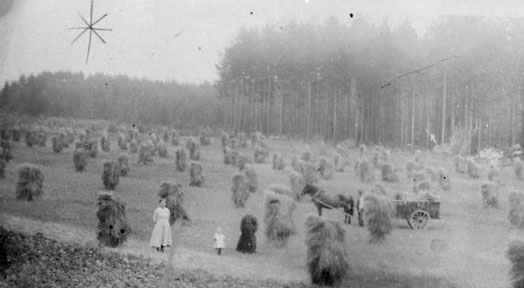 SKURONN, KORNSNES, HEST MED VOGN, FOLK, Kolomoen i Vallset. 