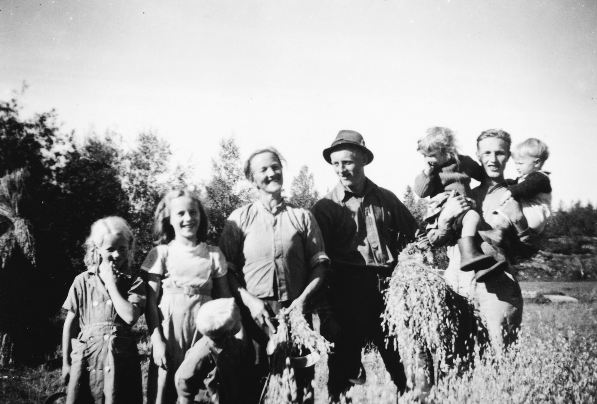 Monslien i Tallbergroa i Stange. Skuronn, kornnek. Foran Egil Hushagen. Bak f. v. Aud Hushagen, Kari Hushagen, Kristine Hushagen, Knut Hushagen, Grethe Veidahl, Arne Hushagen, Johnny Veidahl. 