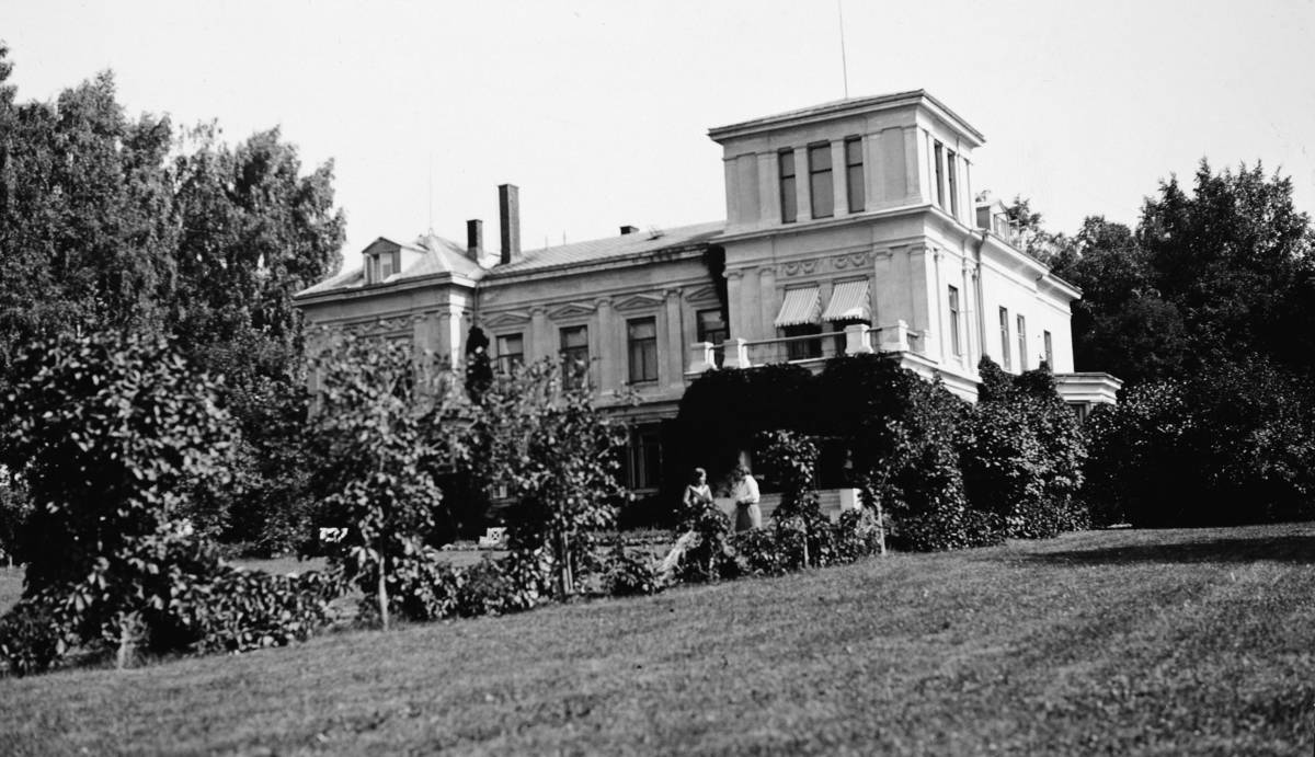 Eksteriør Atlungstad gård i Stange. 1931. 
Hester har vært en lang tradisjon på Atlungstad. Gården som tidligere har vært eid av Wedel Jarlsberg, ble kjøpt opp av rittmester Eugen Johansen og han kone Petra Andresen i 1931. Johansen var en olympisk utøver og medaljetaker i ridning to ganger. 
Blant annet sølv i Amsterdam OL 1928. 