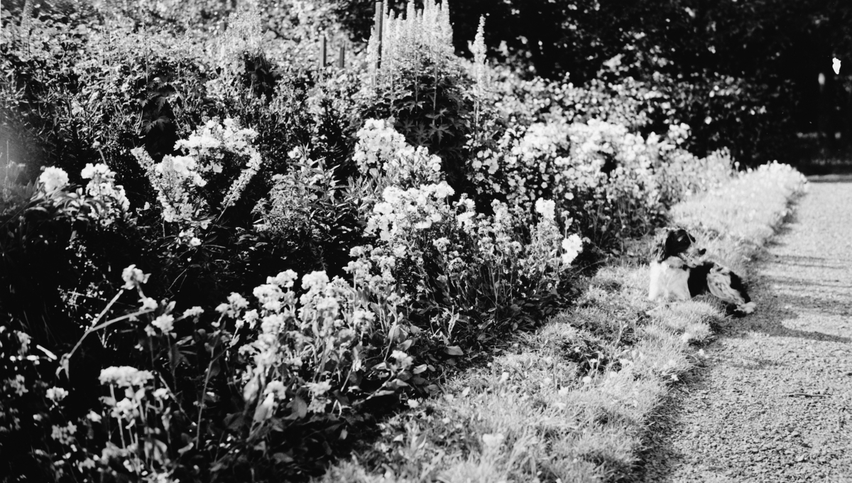 Hagen på Atlungstad gård i Stange.  Blomsterbed. 