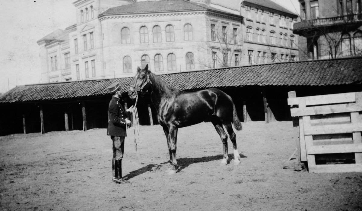 Rittmester Eugen Johansen, sammen med hesten Nøkken. Nøkken er hesten som han vant OL-sølv med i Amsterdam OL i 1928. 