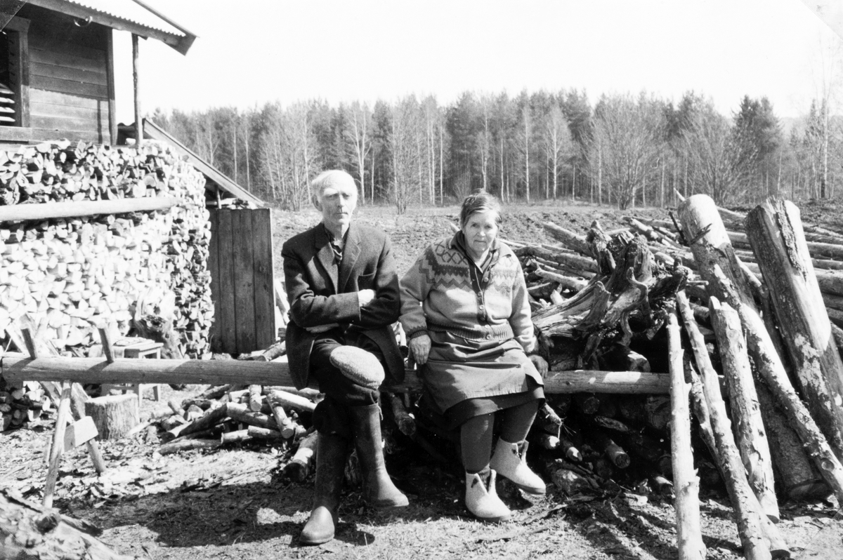 Rønningsbakken, våren 1978. Ola Bækken og Mildred Mæhlum fotografert foran litt av veden som Ola hadde på gårdsplassen. Utenom dette var både skålen og delvis låven full av ved, som han hadde rasket sammen og fått fraktet hjem de siste årene. Vedfyring. 