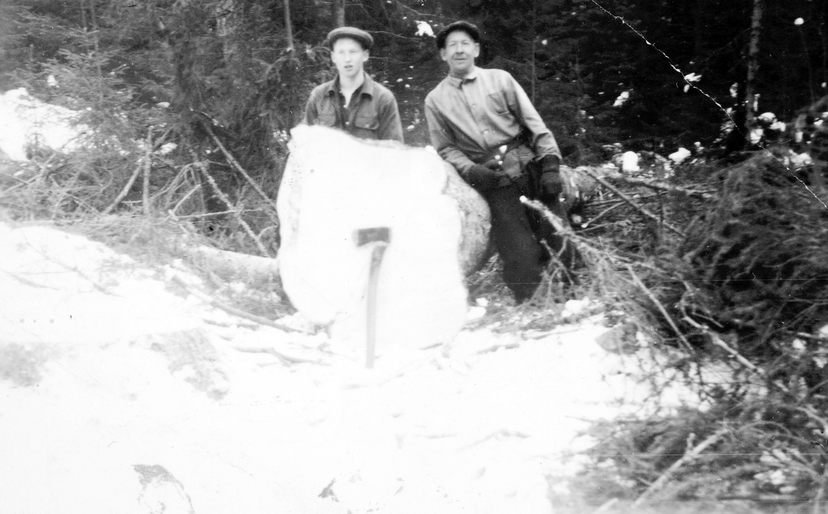 Gran, rotstokk på gran felt i Prestmarka. Ble felt med "svans", håndsag, ca. 1m ved rota. F. v Harald Kløvstad og Håkon Kløvstad, ca. 1960. Skogsarbeidere