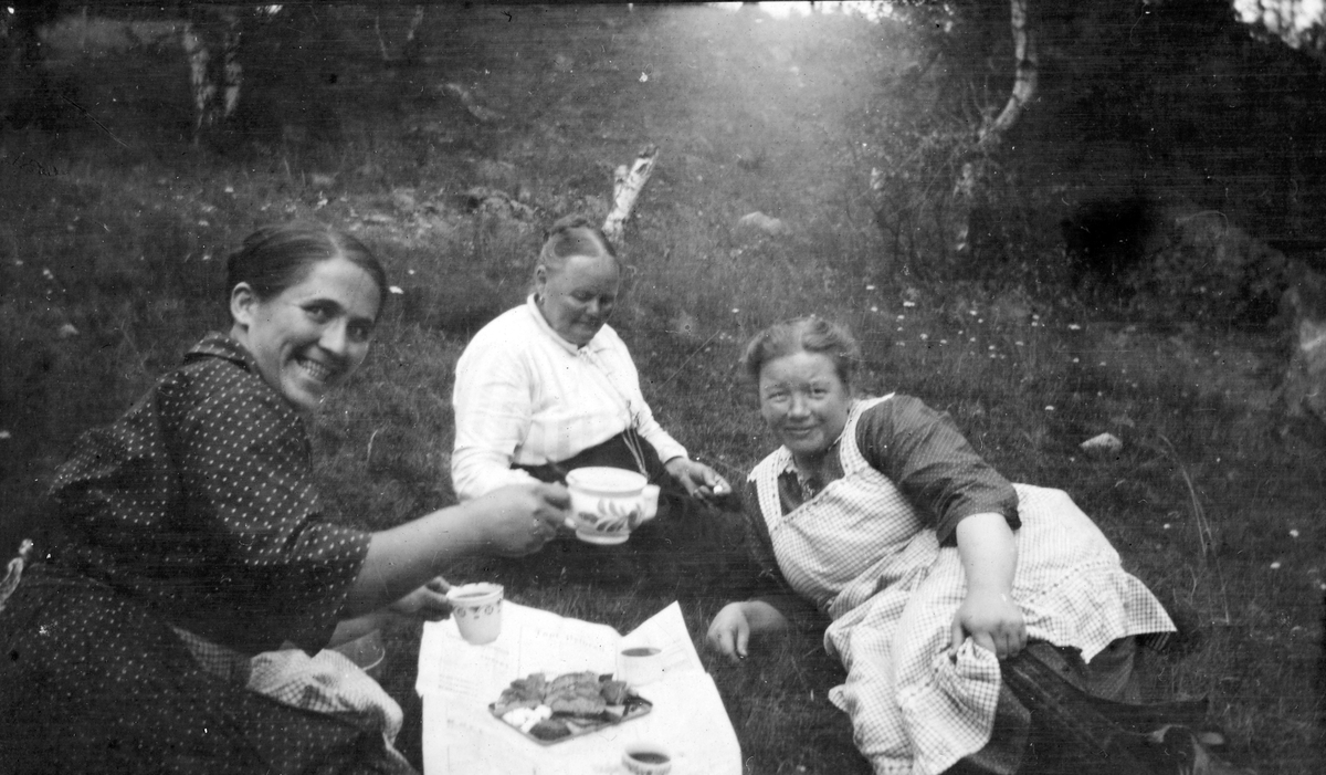 F. v Helene?.... (Vegerstua) Mor? Eidsvold, Hilda Nikoline Lundby. Tre kvinner drikker kaffe ute. 