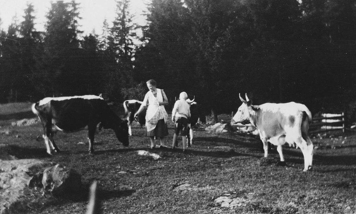 Torødegården, Tangen. Telemarkku, beiter på "Tajet". Hilde Nikoline Lundby og "tantungen" Erik Olsen. Ca 1935. 