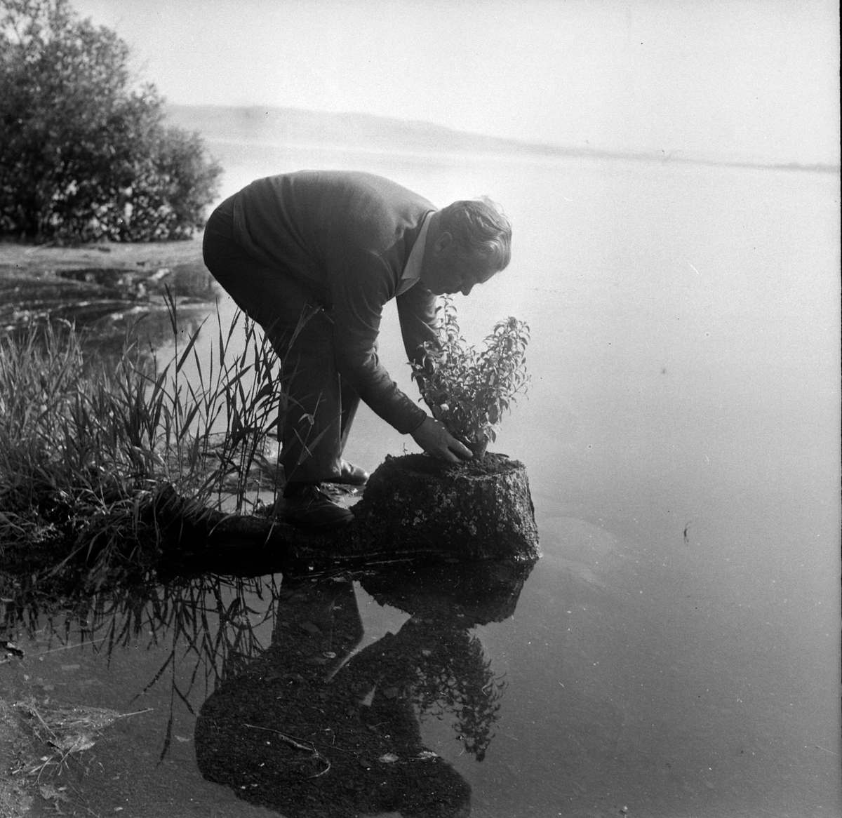 Adolf Skjegstad.
