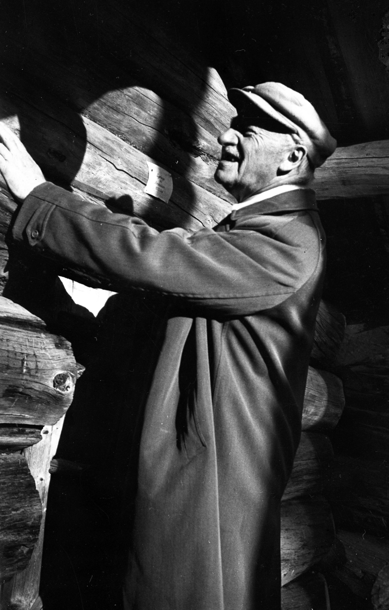 Magnus Hamlander