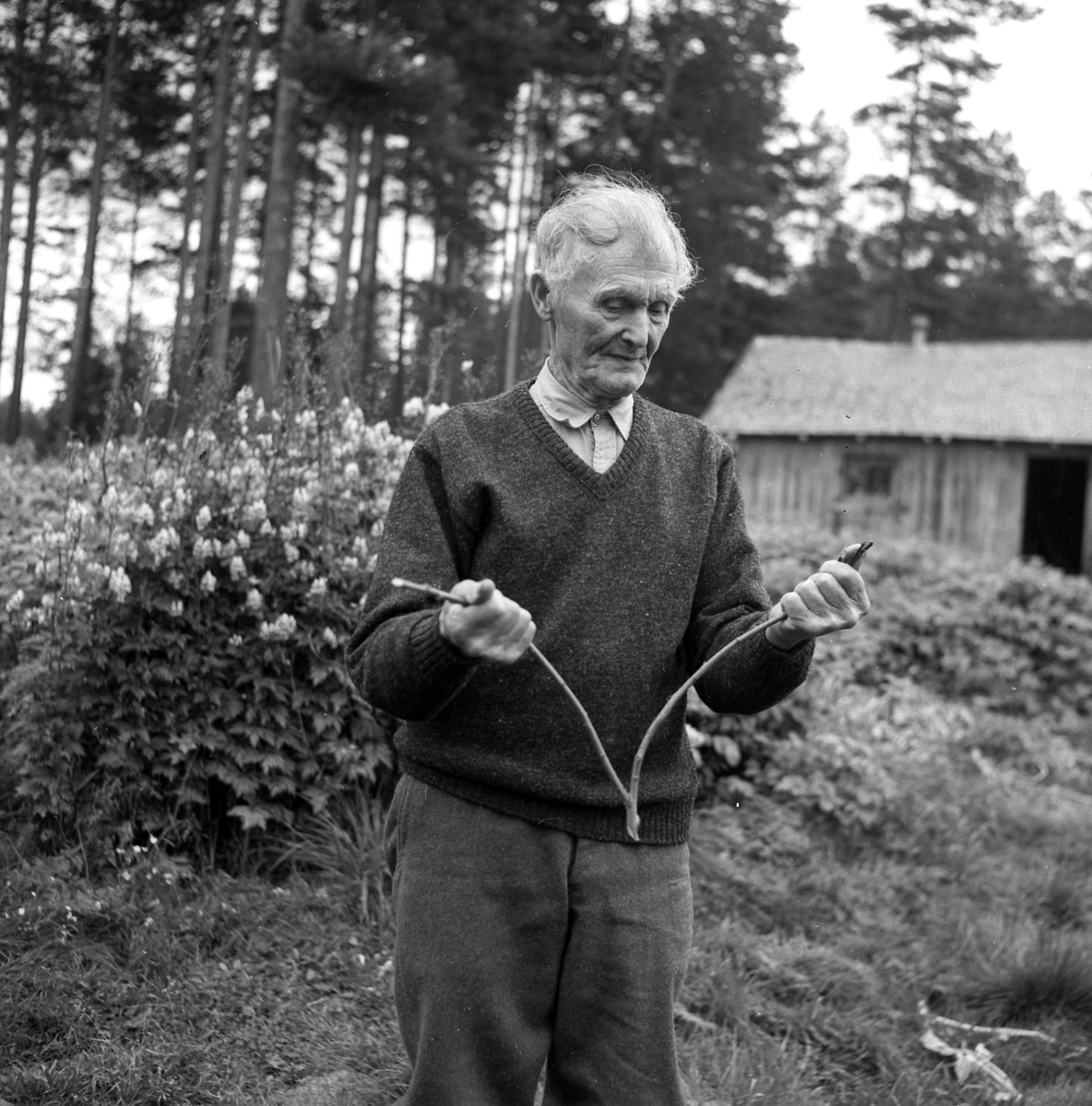 Johan Hansen