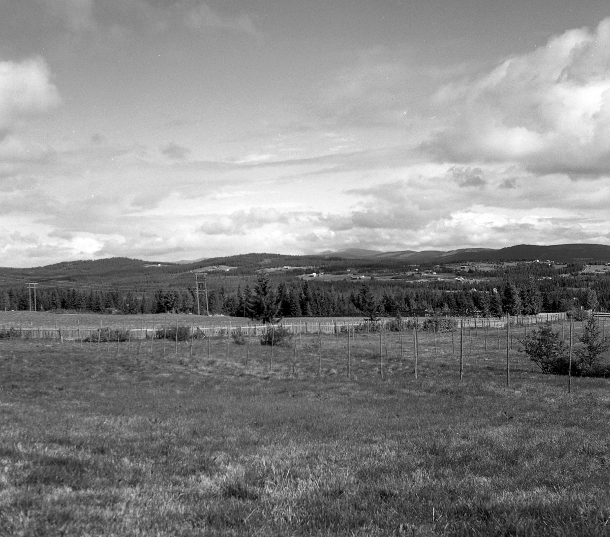 Fra Trysil