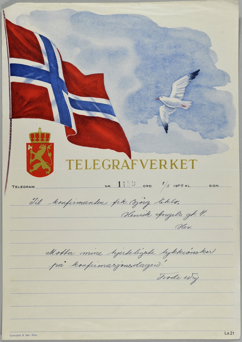 Motiv "Det norske flagg".  Norsk flagg og en flyvende måke.