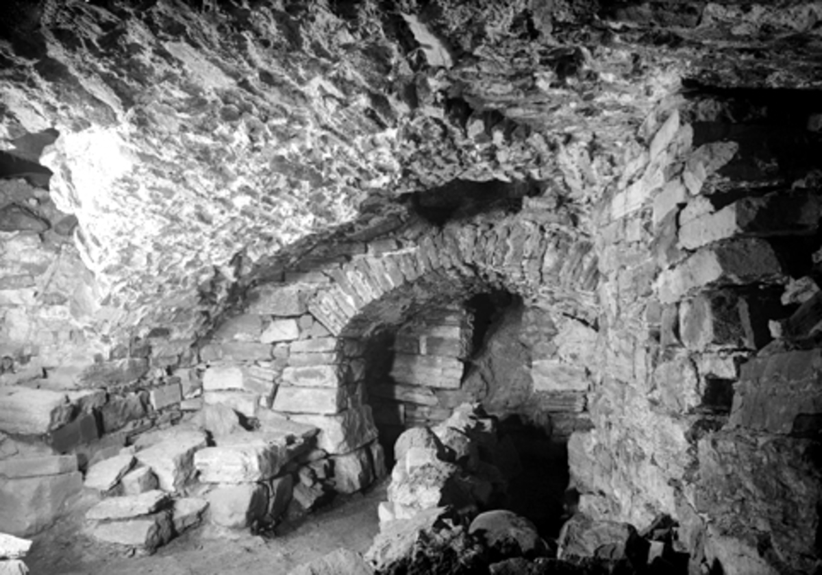 Hamar, Storhamar gård, Storhamarlåven, Hamarkaupangen, kjellerhvelv i midtfløyen, arkeologi,