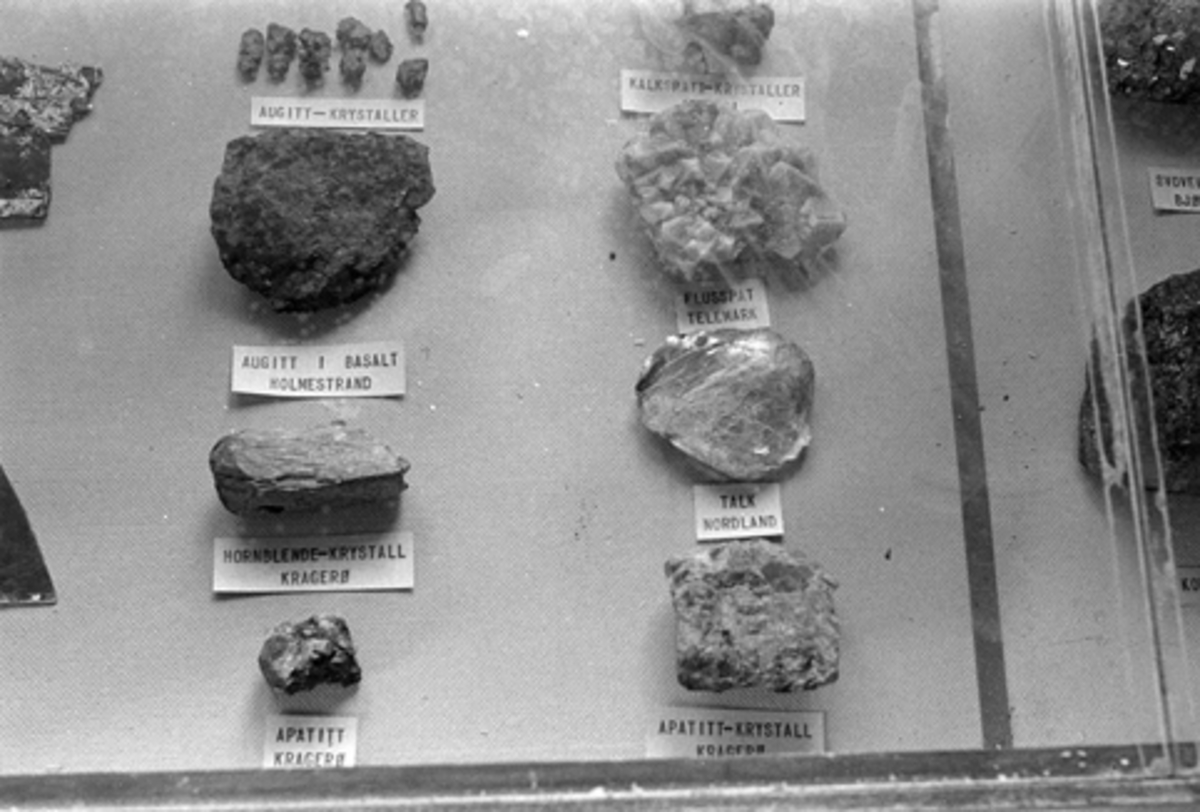 LØTENBYGNINGEN på Hedmarksmuseet, GEOLOGIUTSTILLING, VESTROM, 1. ETG. UTSTILLINGEN FØR EVAKUERING TIL 2. ETG. pga flommen i Mjøsa som steg raskt. 