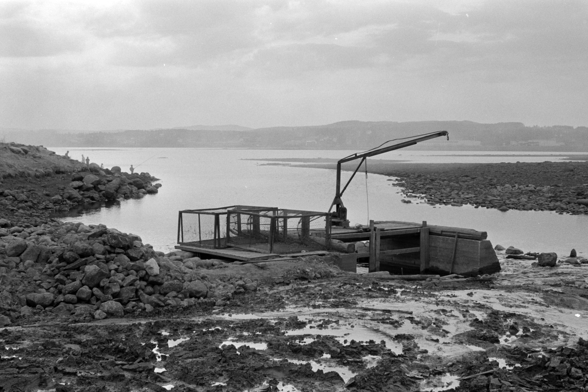 SVARTELVA, FISKEPLASS, FISKEINNRETNING, ÅKERSVIKA, Hamar, 15. 05. 1971, FOTO: P. M. T. 