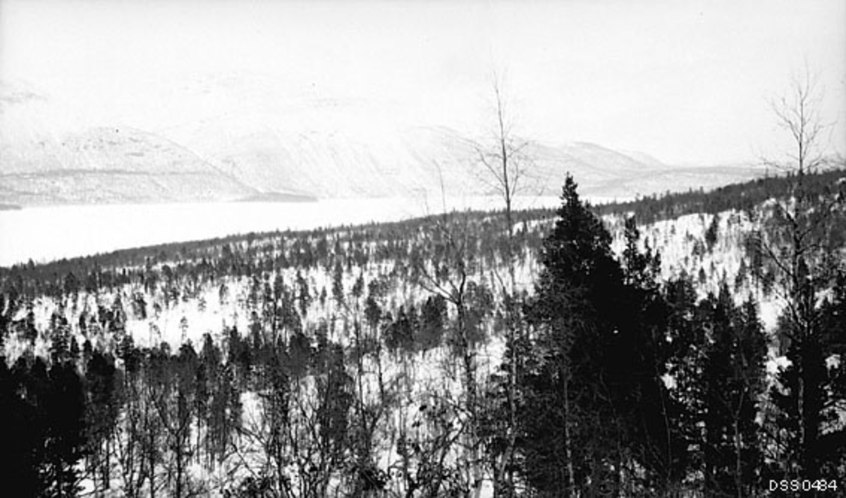 Vinterbilde fra Rostad allmenning i Målselv i Troms.  Fotografiet er tatt fra ei snøkledd li med blandingsskog av bjørk, furu og gran i nokså glisne bestand.  I bakgrunnen en islagt og snødekt innsjø, Rostadvatnet, og bakenfor det igjen et forholdsvis bratt fjellmassiv. 