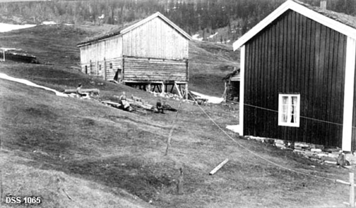 Skogvoktergarden Røssvassholmen i Hattfjelldal.  Fotografiet er tatt fra en grasbevokst bakkekam mot et par av bygningene i tunet.  Helt til høyre den bordkledde gavlen på et toetasjes våningshus.  Bak dette skimtes en åpen, overkraget gavl på en litt mindre bygning.  Sentralt i bildet er en fjøslåvebygning, der husdyrrommene i førsteetasje er laftet, mens forloftet over er utført i bordkledd bindingsverk.  Inntil veggen på dette uthuset er det reist en snøplog for hest.  To kvinner, en gutt og en mann sitter på bakken ved et par tømmerstokker og litt kvist som er lagt mellom bygningene, antakelig med tanke på vedkapping.  En sagkrakk og en liten vedhaug skimtes nærmere uthuset.  I bakgrunnen grasbevokste jorder og ei skogkledd li.

Fram til 1909 var Hattfjelldalen ett skogvokterdistrikt med et areal på hele 477 kvadratkilometer.  Dette året ble cirka 80 kvadratkilometer produktiv skogmark i Røsvasstraktene fradelt som eget oppsynsdistrikt med agronomen Arnt Lukassen (f. 1875) som skogvokter.  Han startet med ei årslønn på 500 kroner i kontanter samt rett til fri bruk av statens eiendom Røsvassholmen, med bolig og driftsbygninger i tunet som vises på dette fotografiet.